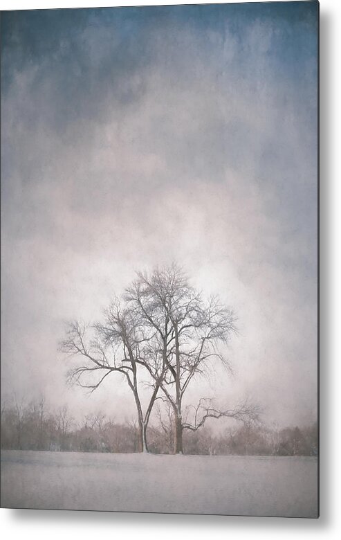 Scott Norris Photography Metal Print featuring the photograph Two Trees by Scott Norris