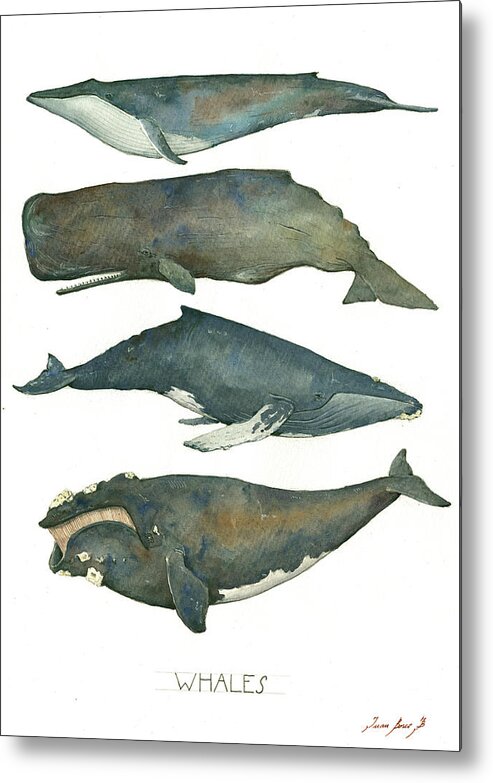 Nautical Decor Metal Print featuring the painting Whales poster by Juan Bosco