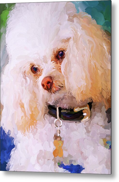 White Metal Print featuring the painting White Poodle by Jai Johnson