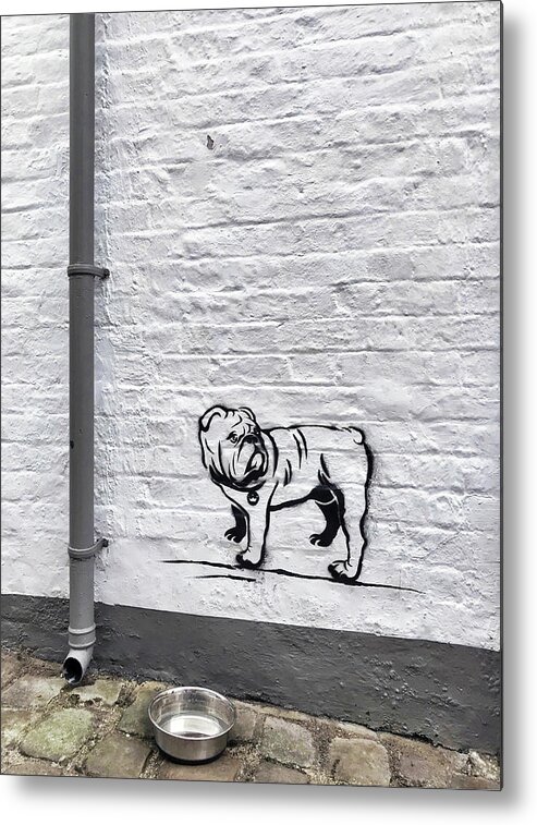 Dog Pug Bulldog Wall Windsor Bowl Alley Metal Print featuring the photograph Windsor wall art by Nora Martinez