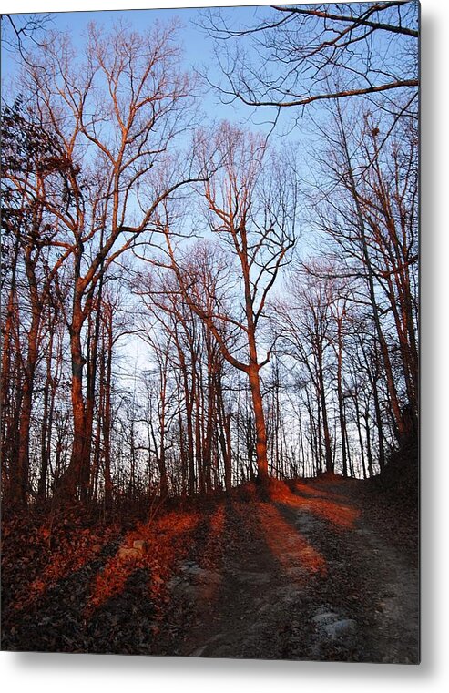 Landscape Metal Print featuring the photograph Winter Sunset in Georgia Mountains by Angela Murray