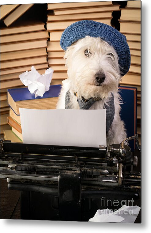 Dog Metal Print featuring the photograph Writer's Block by Edward Fielding