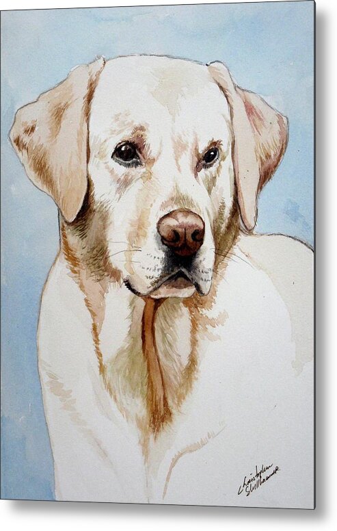 Lab Metal Print featuring the painting Yellow Lab by Christopher Shellhammer