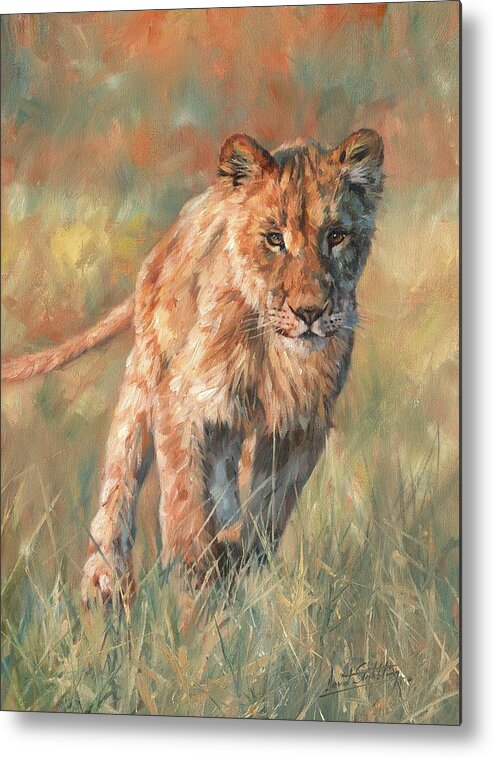 Lion Metal Print featuring the painting Youn Lion by David Stribbling