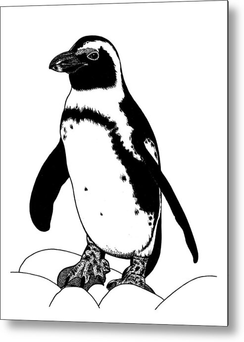 Penguin Metal Print featuring the drawing African penguin - ink illustration #2 by Loren Dowding