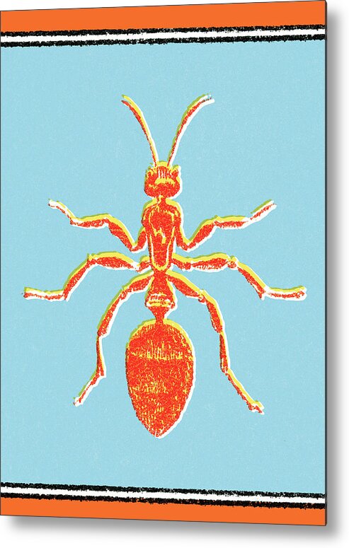 Animal Metal Print featuring the drawing Ant #1 by CSA Images