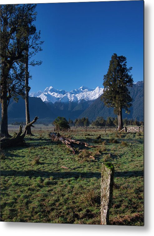 New Zealand Metal Print featuring the photograph New Zealand Alps by Steven Ralser