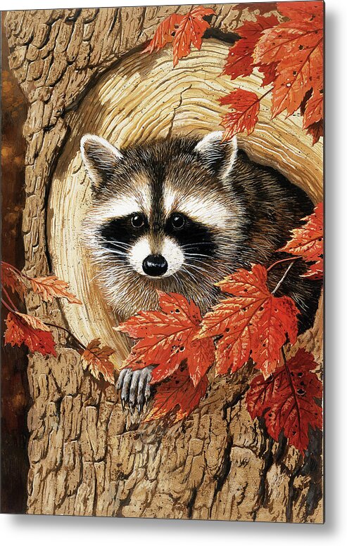 Raccoon Metal Print featuring the painting Raccoon #1 by William Vanderdasson