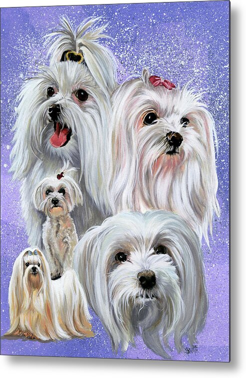 Maltese Metal Print featuring the painting Maltese #2 by Barbara Keith