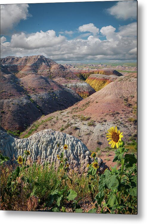 Landscape Metal Print featuring the photograph Badlands Sunflower - Vertical by Patti Deters