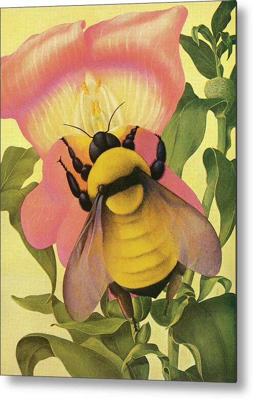 Animal Metal Print featuring the drawing Bee and Flower by CSA Images