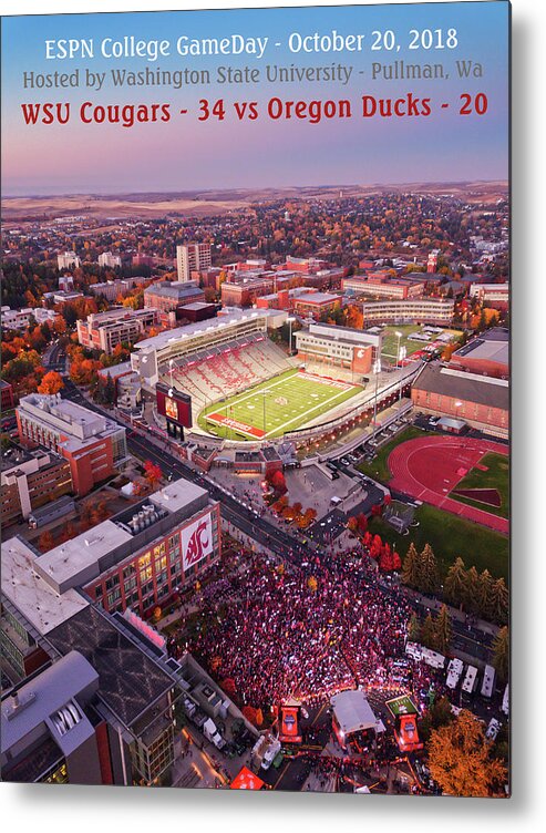 Best Gameday Ever Metal Print featuring the photograph Best Gameday Ever by David Patterson