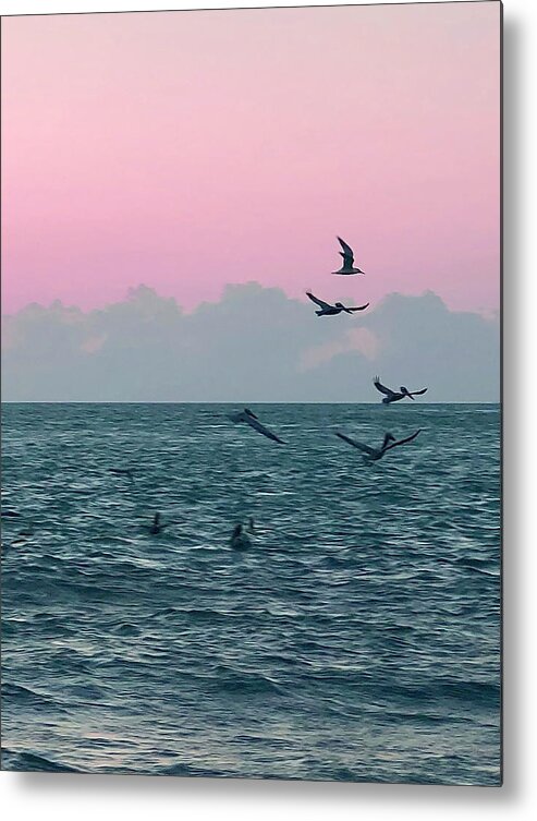 Birds Metal Print featuring the photograph Captiva Island Sunset Seagulls Feast 3 by Shelly Tschupp