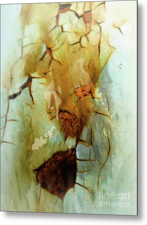 Marcia Lee Jones Metal Print featuring the photograph Cracks On The Surface by Marcia Lee Jones