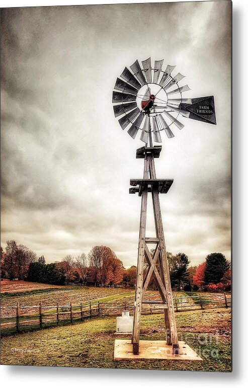 Landscape Metal Print featuring the photograph Farm Tendercrop by Mary Capriole