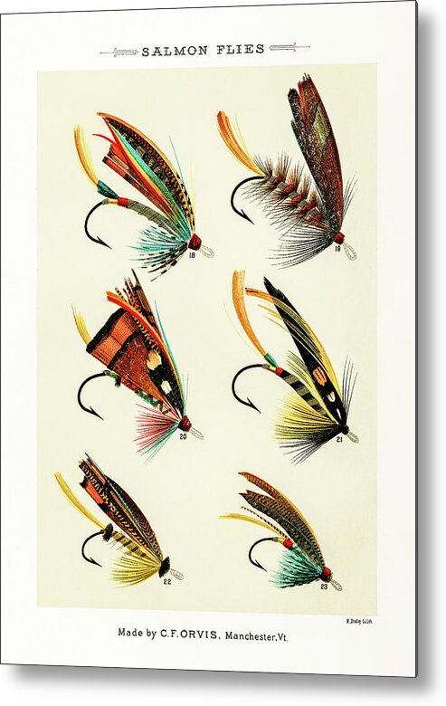 David Letts Metal Print featuring the drawing Fly Fishing Lures 2 by David Letts