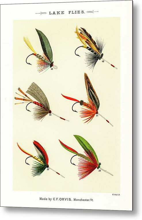 David Letts Metal Print featuring the drawing Fly Fishing Lures 7 by David Letts
