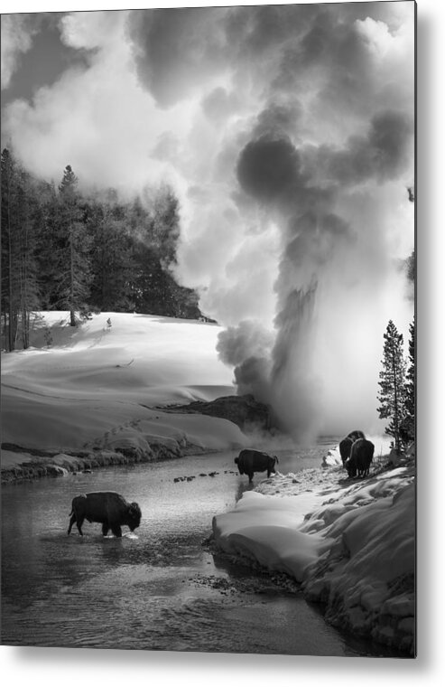 Geyser Metal Print featuring the photograph Geyser In Action by Shenshen Dou