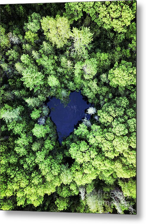 Unmanned Aerial Vehicle Metal Print featuring the photograph Heart Shaped Pond by Shaunl