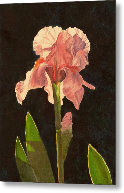 Floral Metal Print featuring the painting Iris 3 by Heidi E Nelson