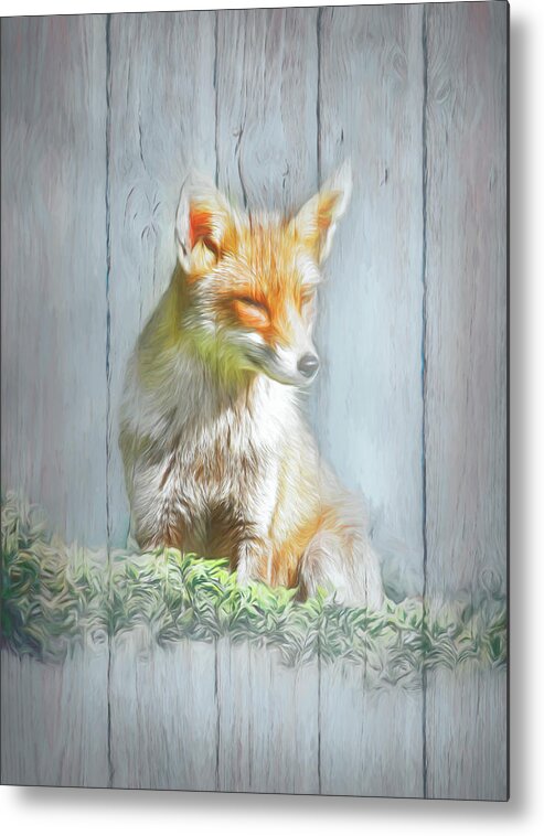 Animals Metal Print featuring the photograph Little Red Fox with Wood Texture Painting by Debra and Dave Vanderlaan