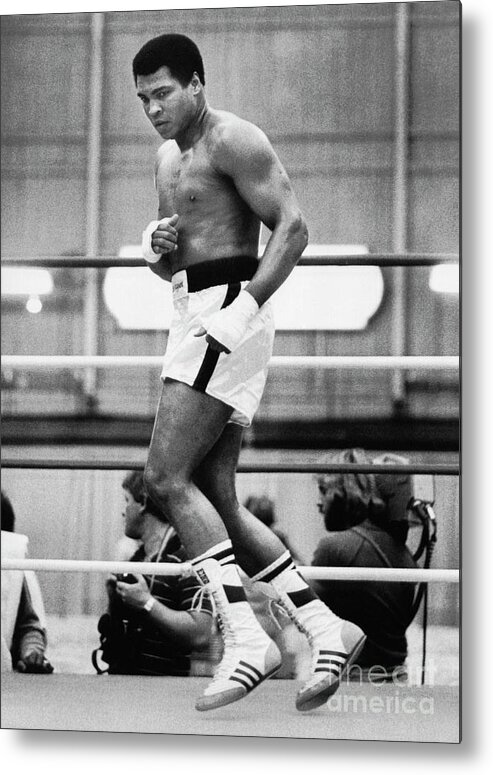 Muhammad Ali - Boxer - Born 1942 Metal Print featuring the photograph Muhammad Ali Training In A Boxing Ring by Bettmann