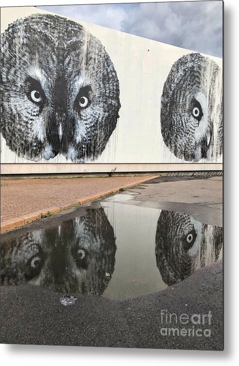 Helsinki Metal Print featuring the photograph Owl Eyes by Diana Rajala