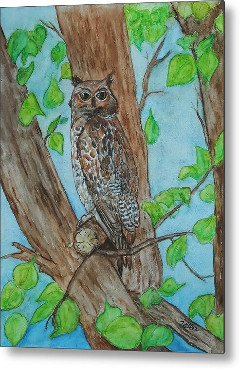 Nature Metal Print featuring the painting Owl in Our Tree by Vallee Johnson