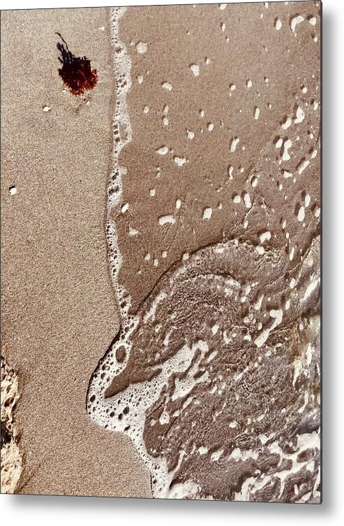 Beach Metal Print featuring the photograph Red Seaweed Washed Upon the Captiva Island Shore by Shelly Tschupp