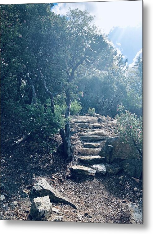 Rock Metal Print featuring the photograph Steps to enlightenment by Jeremy McKay