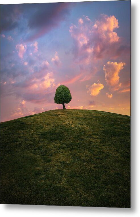 Lonely Tree Metal Print featuring the photograph Tree On Hill During Sunset by Christian Lindsten