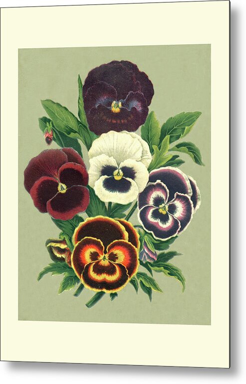 Botanical & Floral Metal Print featuring the painting Tricolor Pansies I by Vision Studio