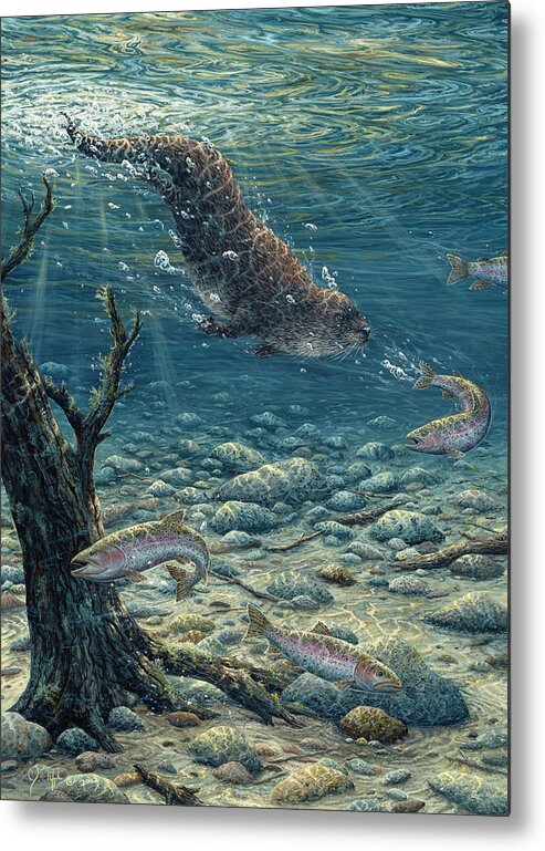 Otter Diving Under Water In The Pursuit Of Fish. Metal Print featuring the painting Underwater Pursuit by Jeff Tift