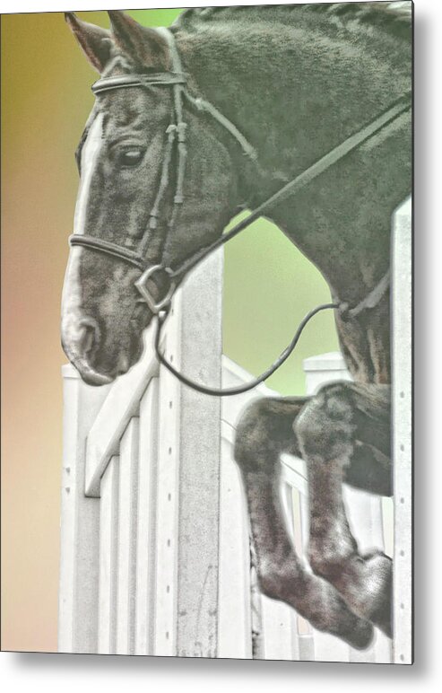 Art Metal Print featuring the photograph Up And Over by Dressage Design