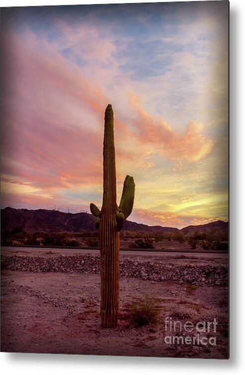 Cactus Metal Print featuring the photograph Vignetted Saguaro by Robert Bales