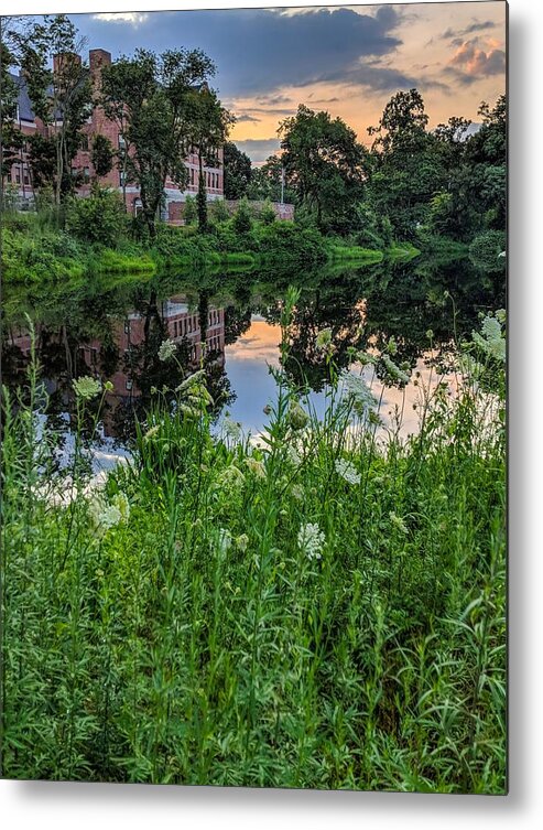 Nature Metal Print featuring the photograph Wanderings by Christopher Brown