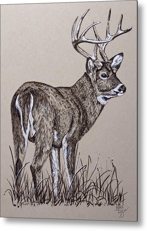 Deer Metal Print featuring the painting Whitetail Buck by Mark Ray