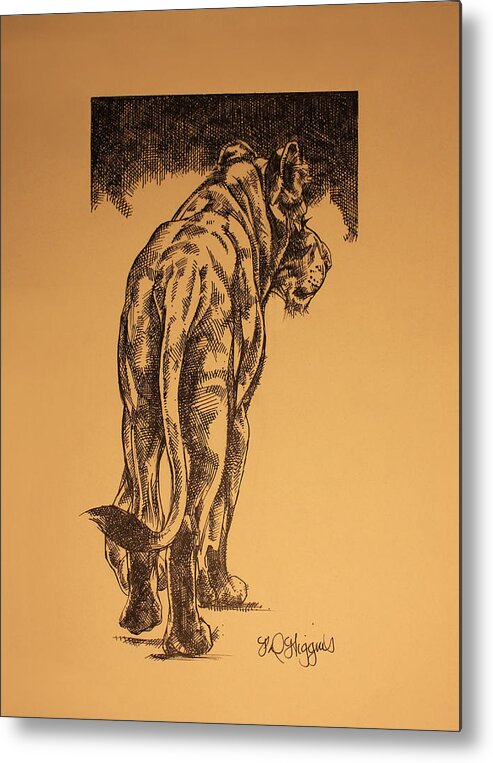 Lion Metal Print featuring the drawing Young Cub sketch by Derrick Higgins
