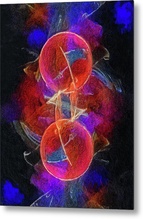Zygote Metal Print featuring the digital art Zygote by Skip Hunt