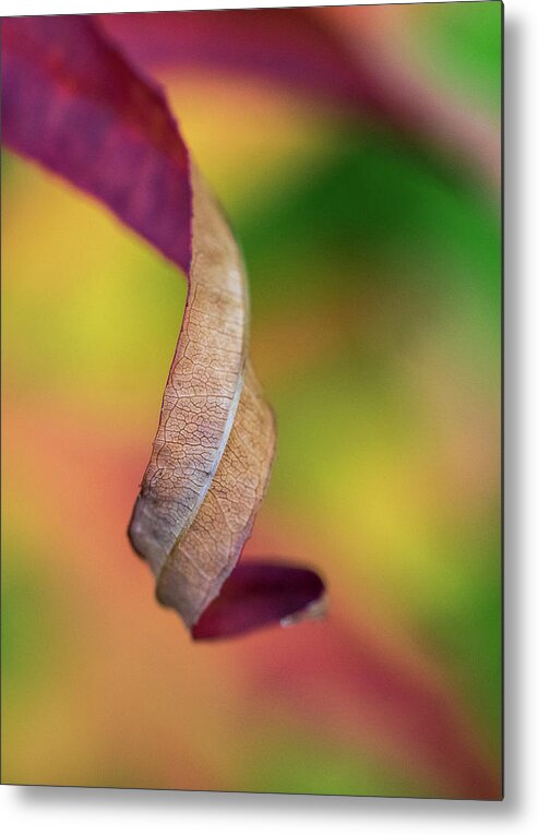 Curve Metal Print featuring the photograph Twist #1 by Lynn Wohlers