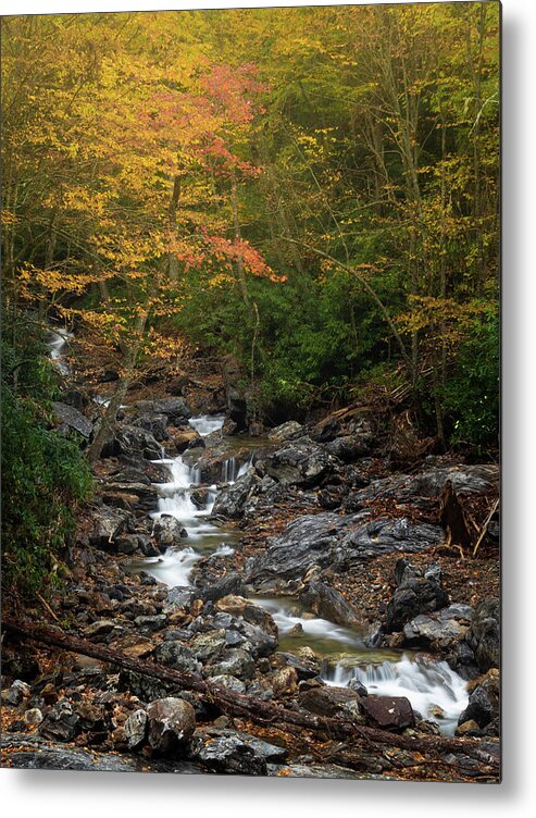 Blue Ridge Parkway Metal Print featuring the photograph Autumn in the Blue Ridge Forest by Donnie Whitaker