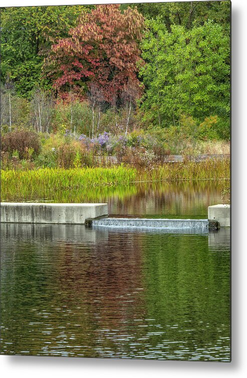 Bronx Botanical Gardens Metal Print featuring the photograph Autumn Water Reflections by Cate Franklyn