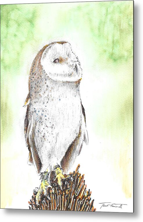 Barn Owl Metal Print featuring the painting Barn Owl by Thomas Hamm