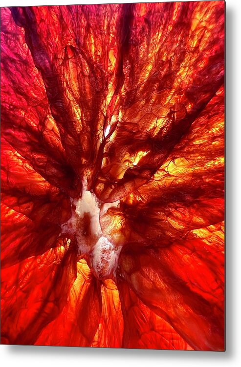Blood Orange Metal Print featuring the photograph Blood Orange Cell by David Letts