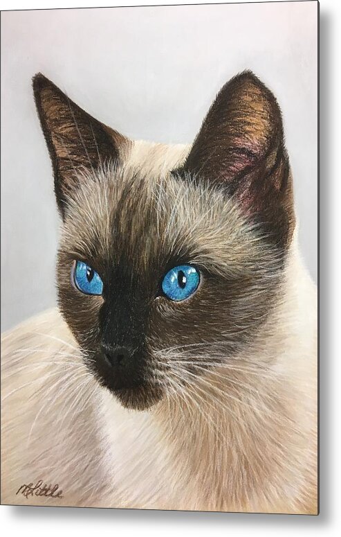 Siamese Metal Print featuring the pastel Blue Eyes by Marlene Little