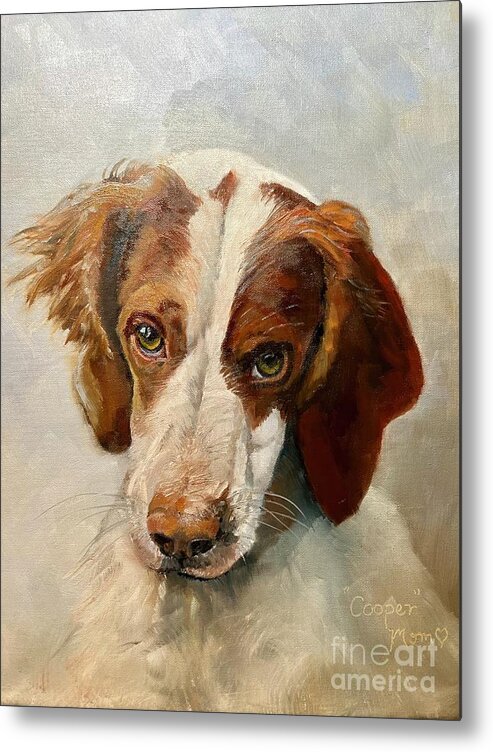 Brittany Spaniel Metal Print featuring the painting Cooper - Brittany Spaniel by Jan Dappen
