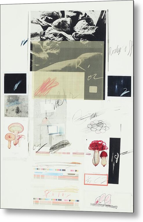 Cy Twombly Metal Print featuring the painting Cy Twombly, Natural History by Dan Hill Galleries