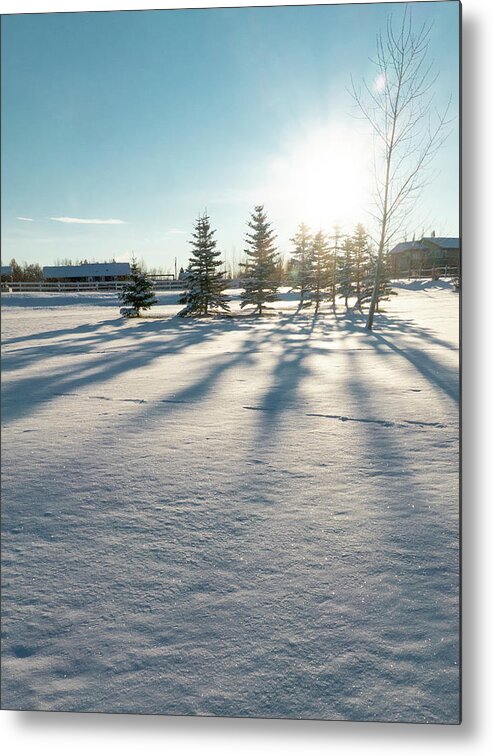 Evergreen Metal Print featuring the photograph Evergreen Shadows On Snow by Phil And Karen Rispin