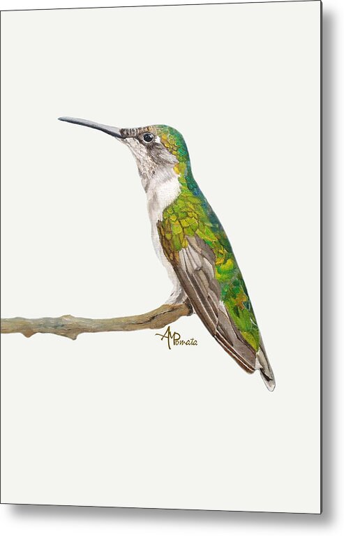 Hummingbird Metal Print featuring the painting Female Hummingbird Portrait by Angeles M Pomata