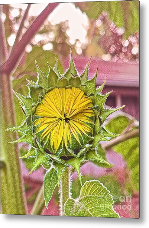 Flower Metal Print featuring the photograph Imagined Sun by Reena Kapoor